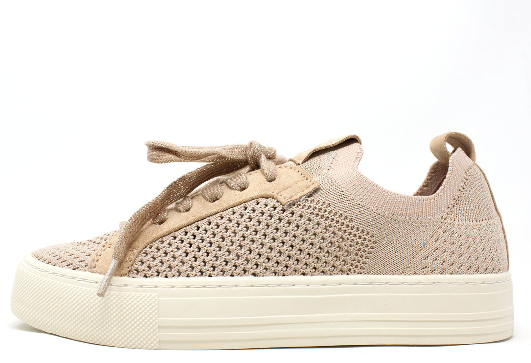 Shimmer Trainer