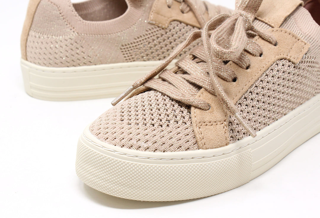 Shimmer Trainer