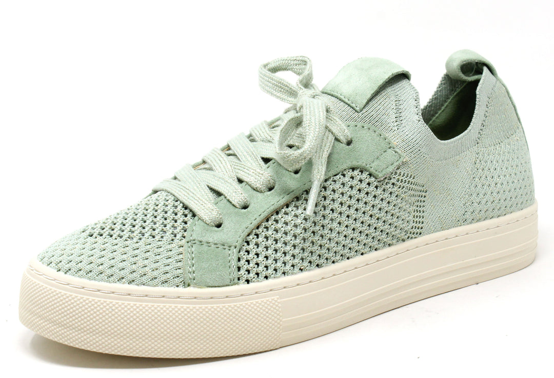 Shimmer Trainer