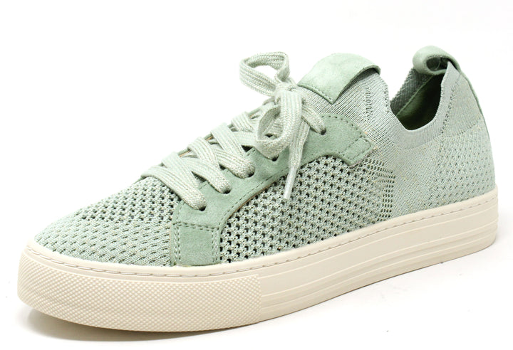 Shimmer Trainer