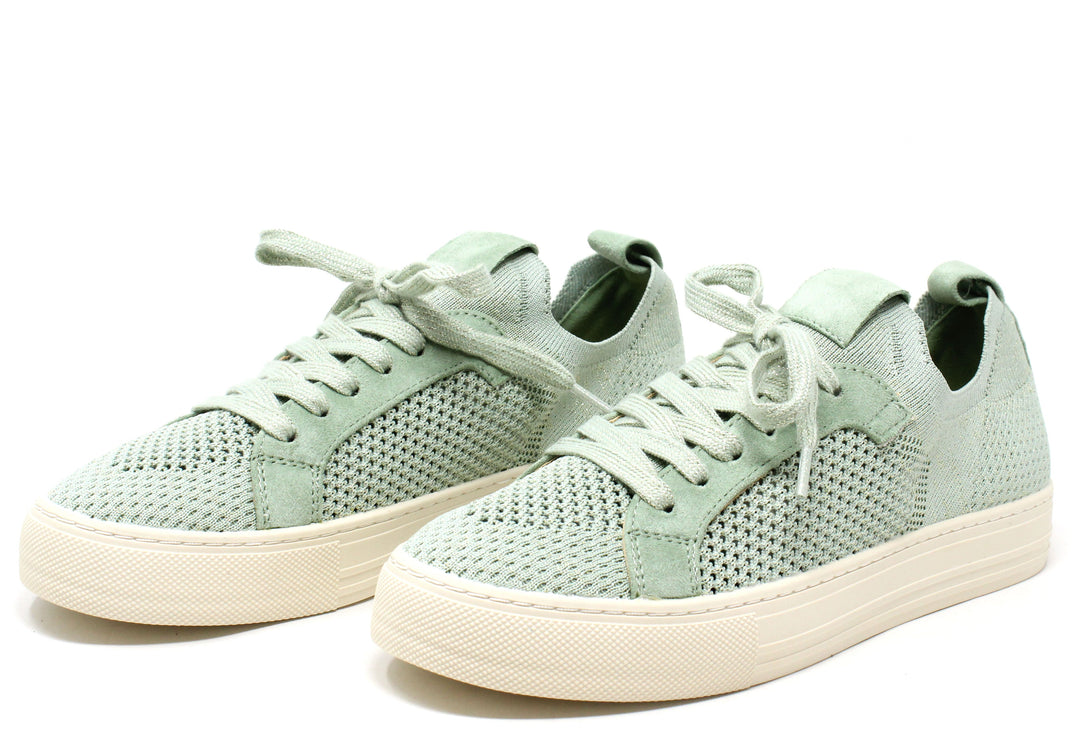Shimmer Trainer
