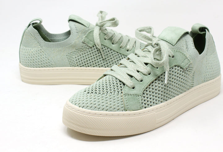 Shimmer Trainer