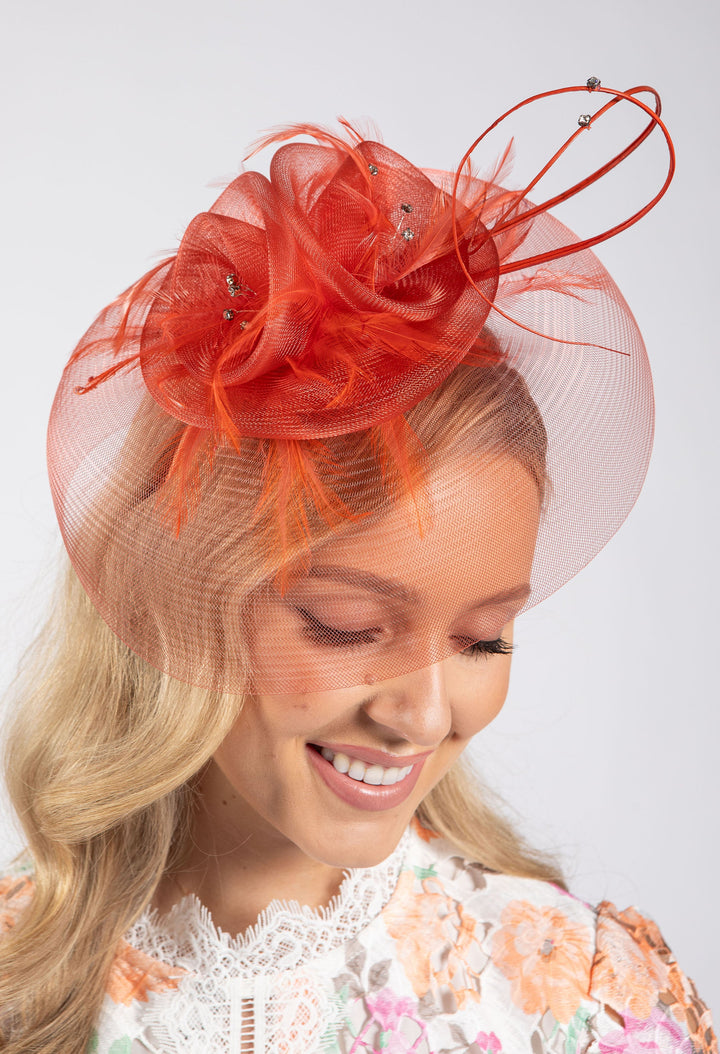 Feather & Diamante Detail Fascinator