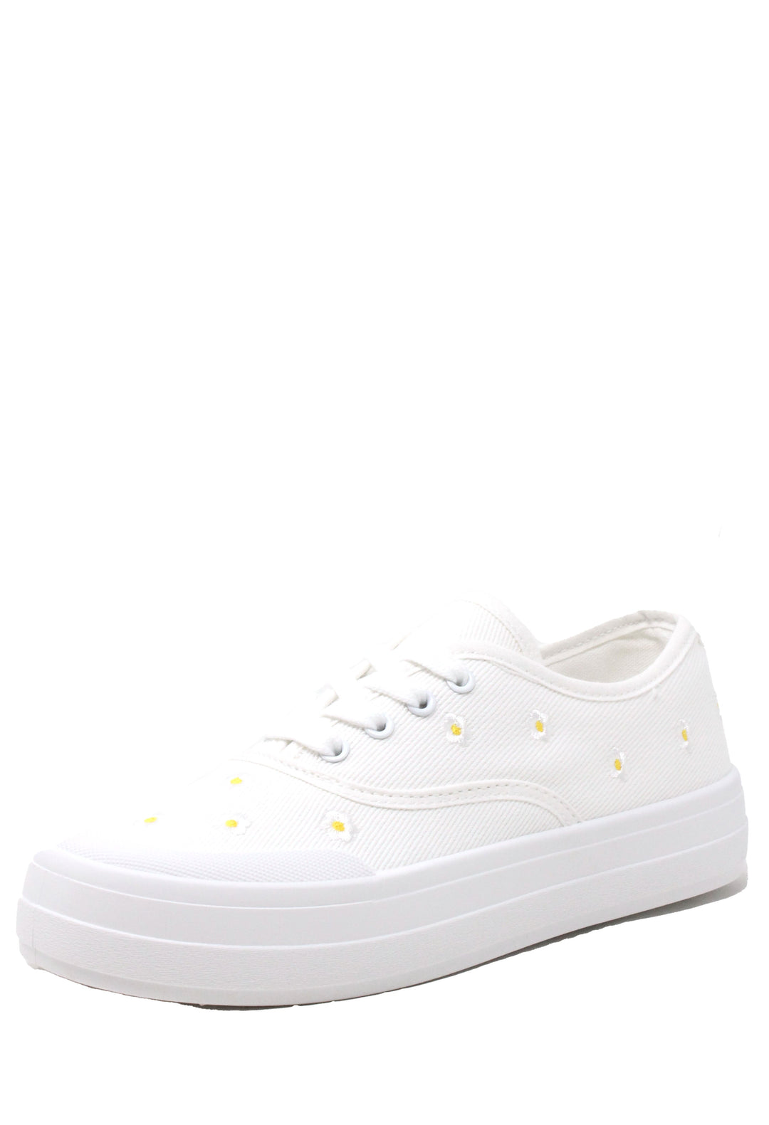 Daisy Trainer